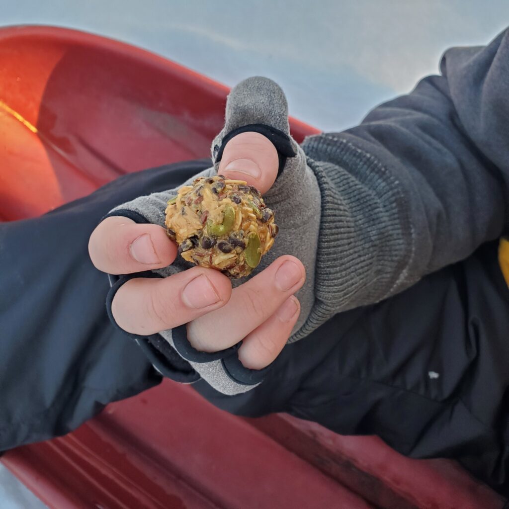 Grey gloved hand holding a peanut butter snack ball with red sled in the background.