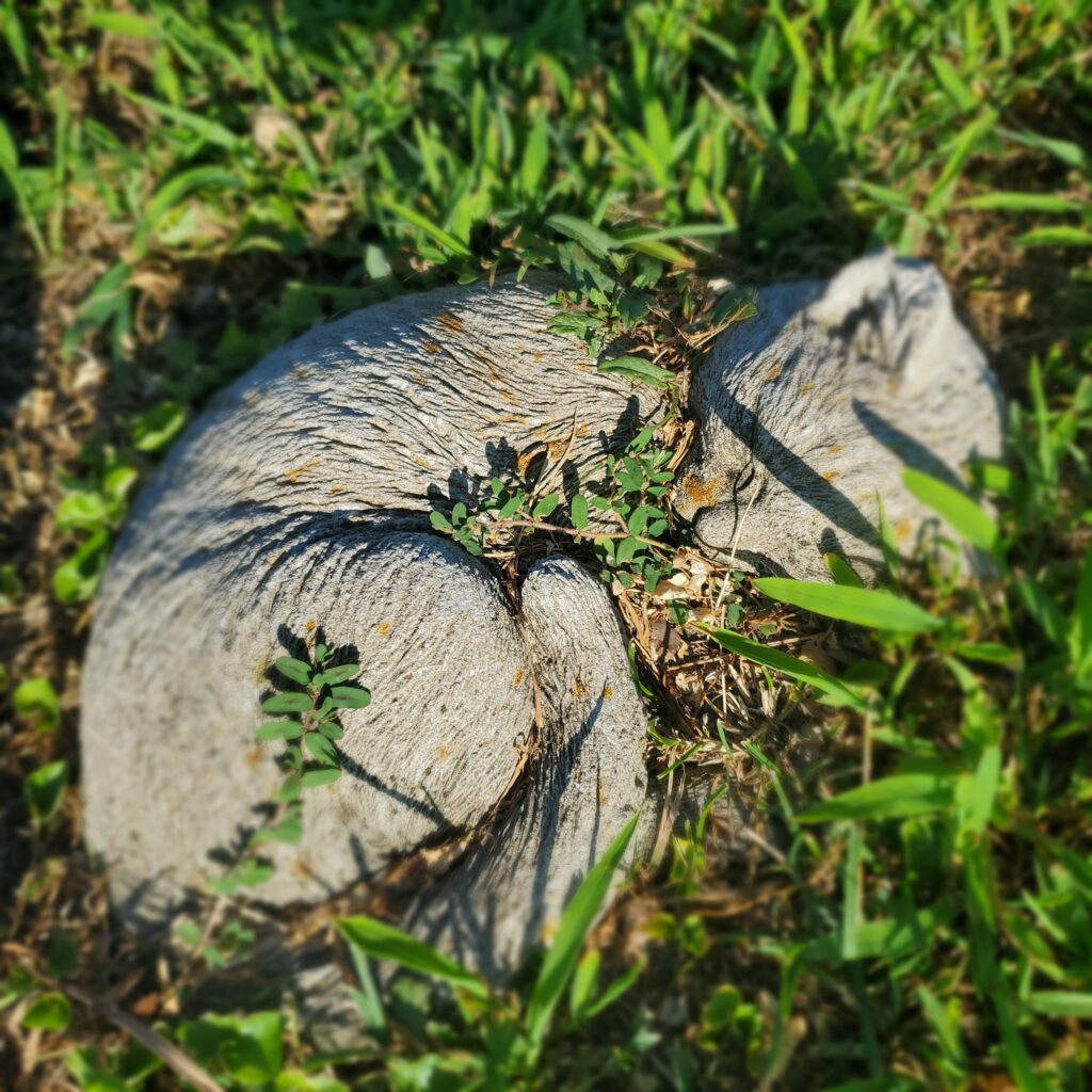 Cement cat curled on its side with purslane and grass overgrowth